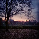 Sunset in Holland Park #sunset #hollandpark #park #londra #london #photosofengland #tramonto #rosa #sera