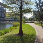 #great #shiny #sunny #day #chiswick #chiswickbusinesspark #chiswickpark  #nofilter
