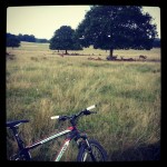 #mountainbike with the #deers in #richmondpark #london