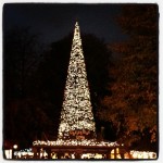 Christmas Tree #christmas #winterwonderland #tree #christmastree #hydepark #londra #london #photosofengland