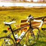 #bushypark #exploring #bicycle #london