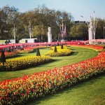 #buckinghampalace #london #marathon #2014 #flowers